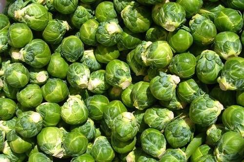 https://storage.tally.so/0764b51c-080d-4fa4-8c47-739c0a08d92f/BrusselsSprouts.jpg
