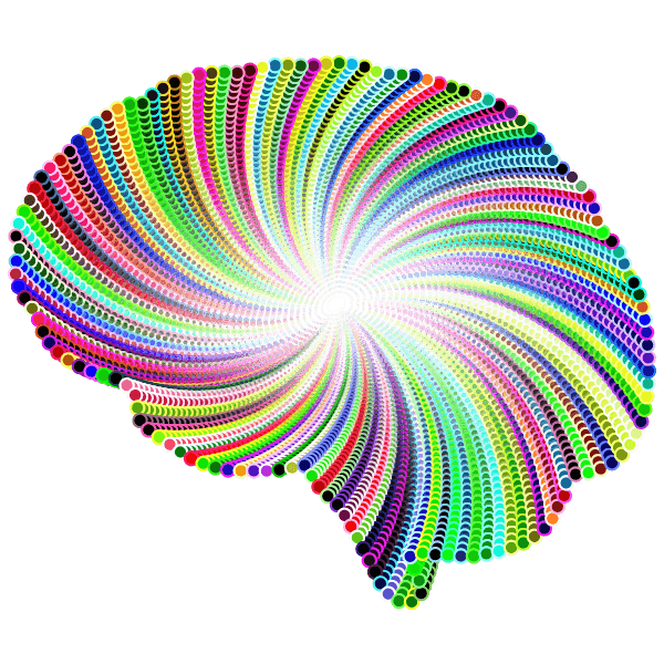 https://storage.tally.so/0d725a41-e88a-4a90-b7f6-04a31f39dfda/1541457478.png