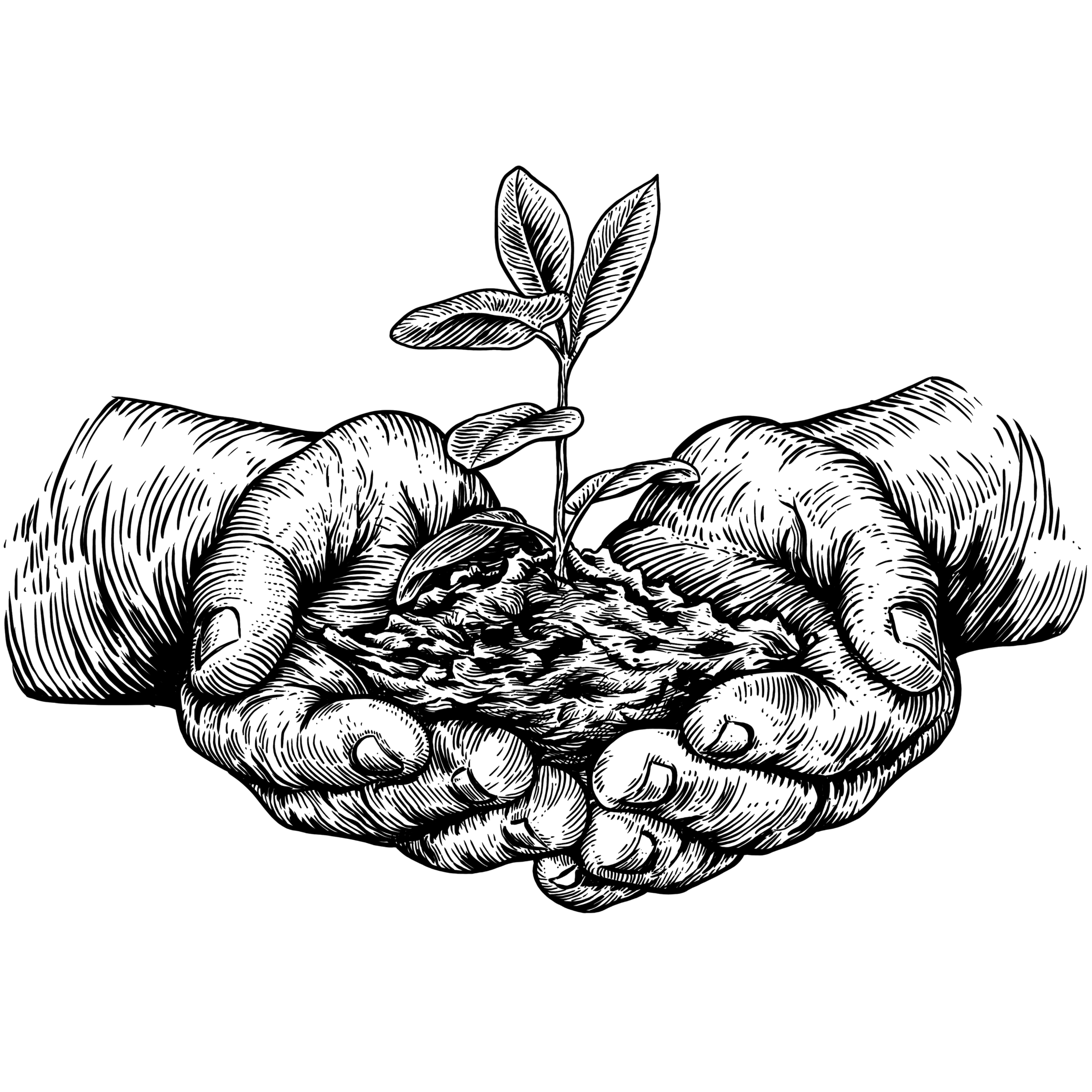 Form logo
