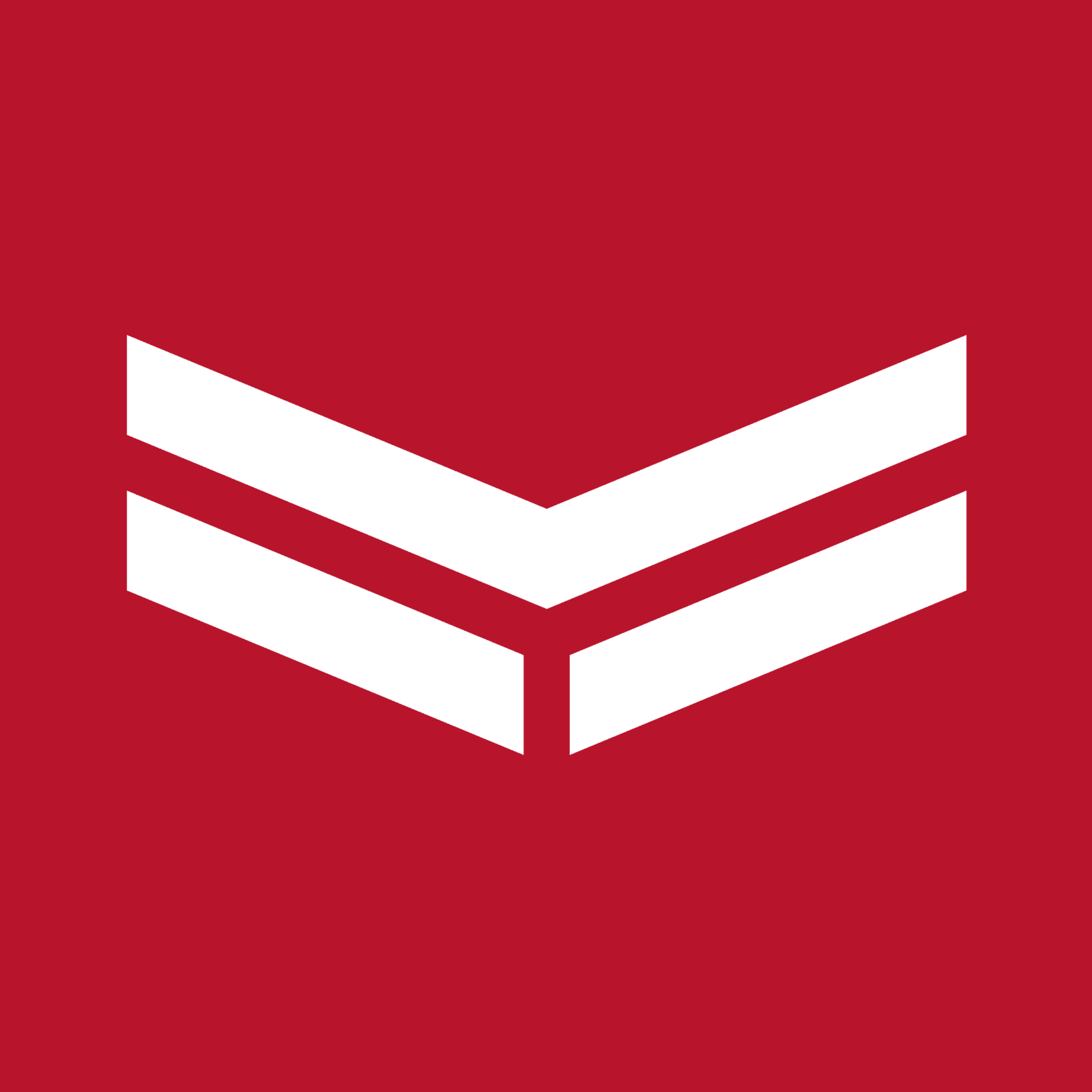 Form logo