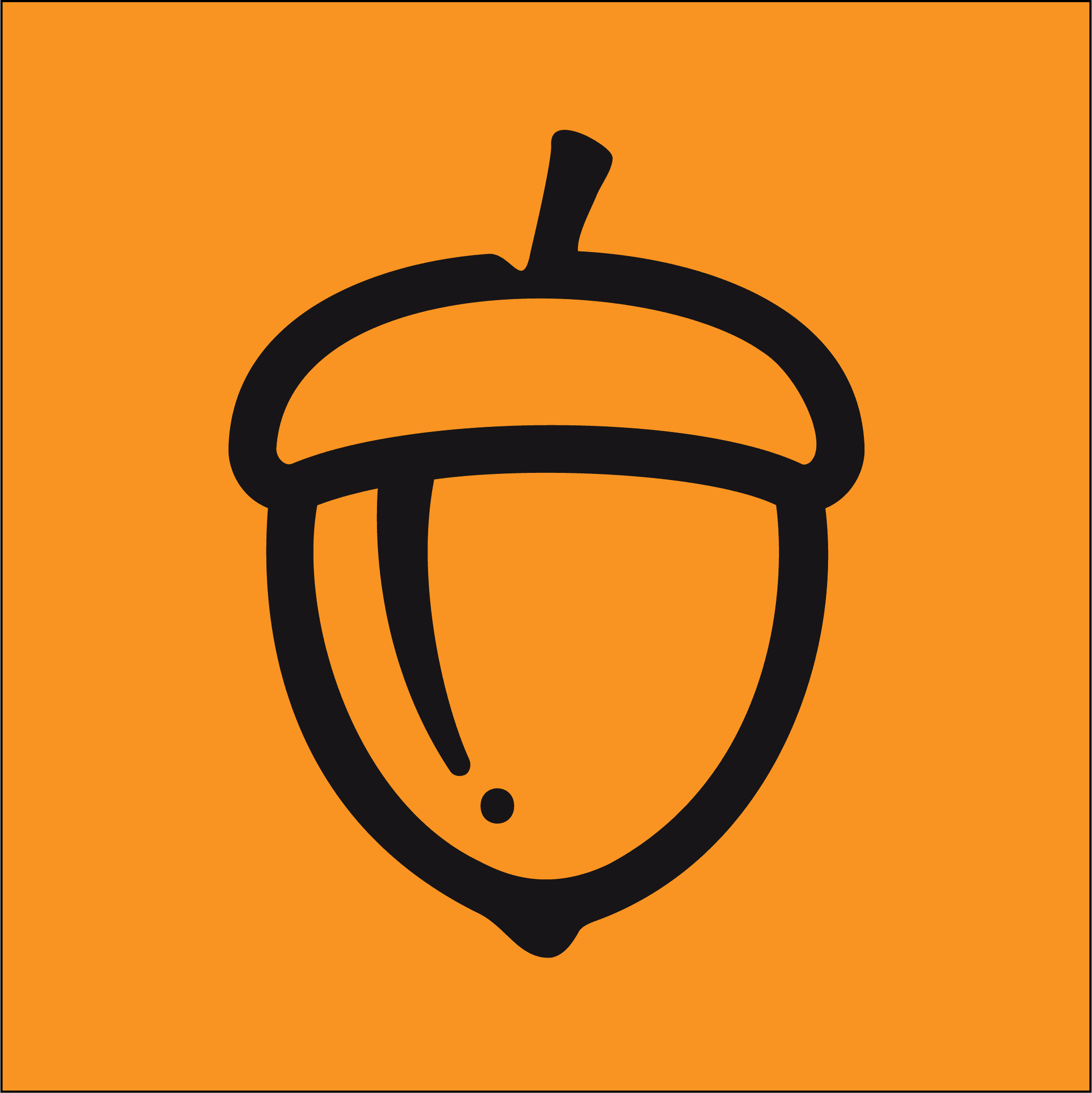 Form logo