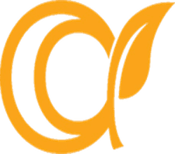 Form logo