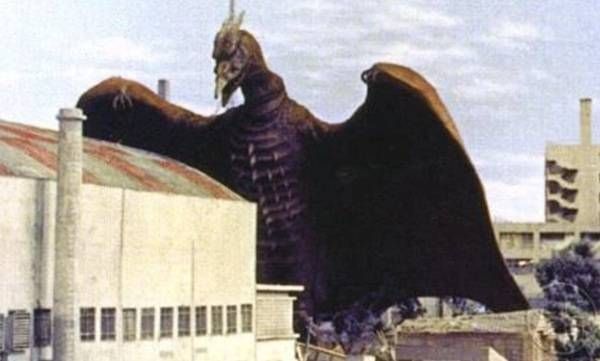 https://storage.tally.so/1ca3df5f-70af-401e-8386-c92317ed5335/Rodan.jpg