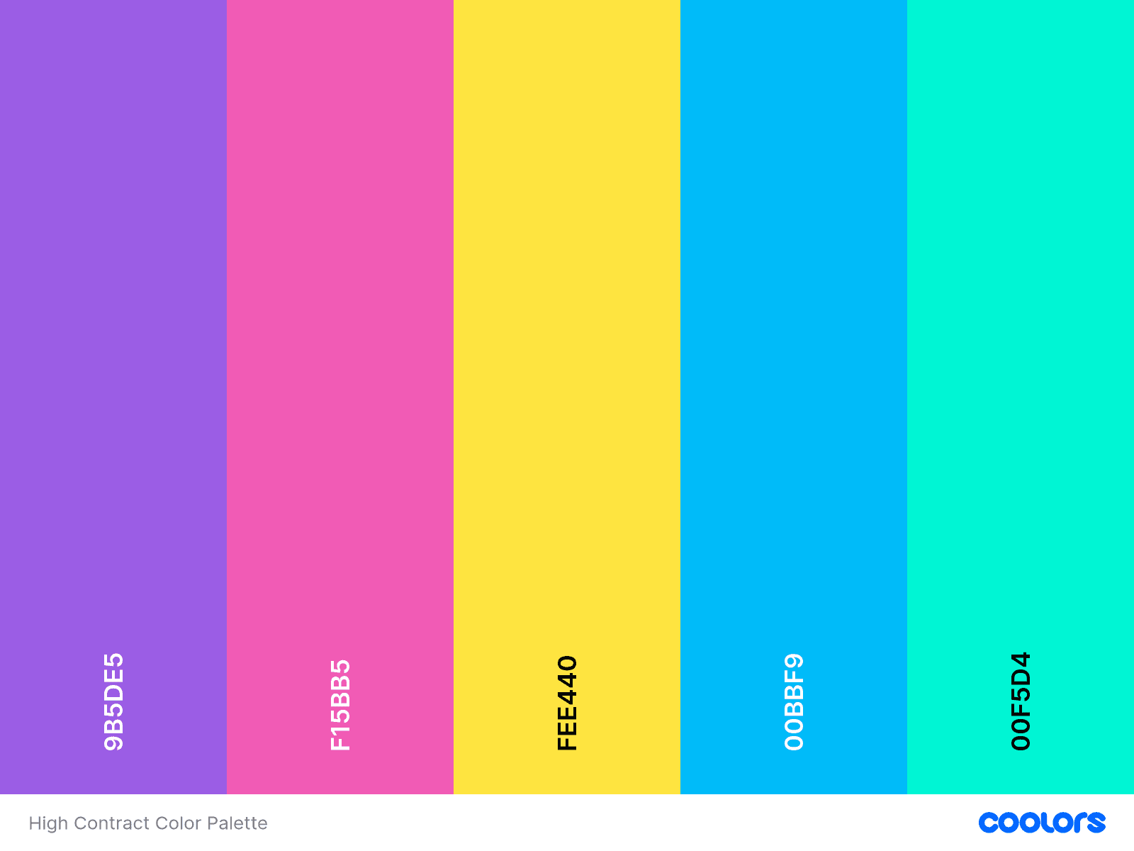 https://storage.tally.so/1e1c3531-2073-4664-a872-f154b030ba0c/Palette-7.png