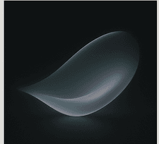 Form logo