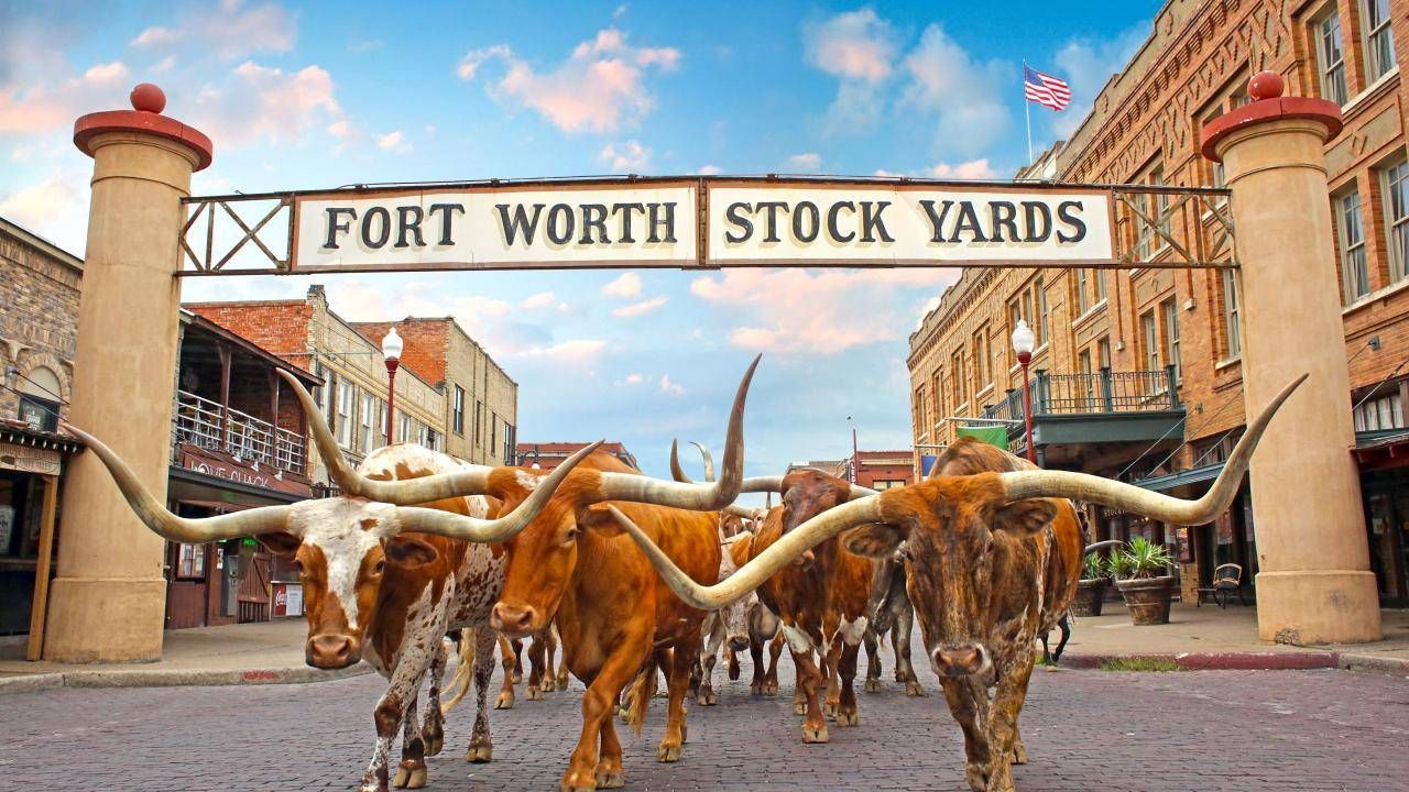 https://storage.tally.so/2803f8bc-8834-42e7-8c7d-06d9d4713658/1-HERO_Herd_Stockyards_Sign_HDR_Web72DPI.jpg