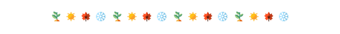 https://storage.tally.so/2c7e74c6-df9a-4fd4-b035-e09c5e5ce4b7/4-seasons-clipart-divider.png