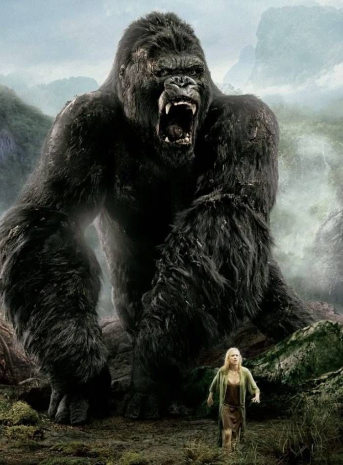 https://storage.tally.so/2dca9708-6407-46f1-a54a-401024536a1b/KingKong.jpg