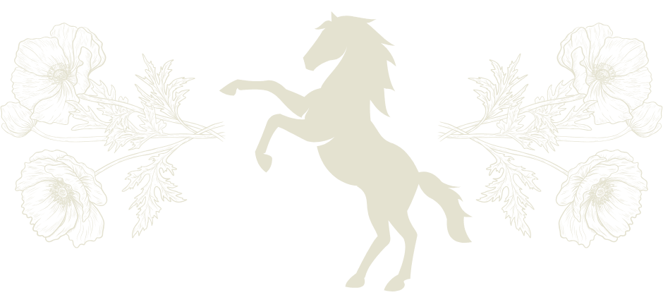 https://storage.tally.so/2f1d0054-31ab-4ce0-ba8a-a541b7fca306/LOGO---Pale-Horse-Productions.png