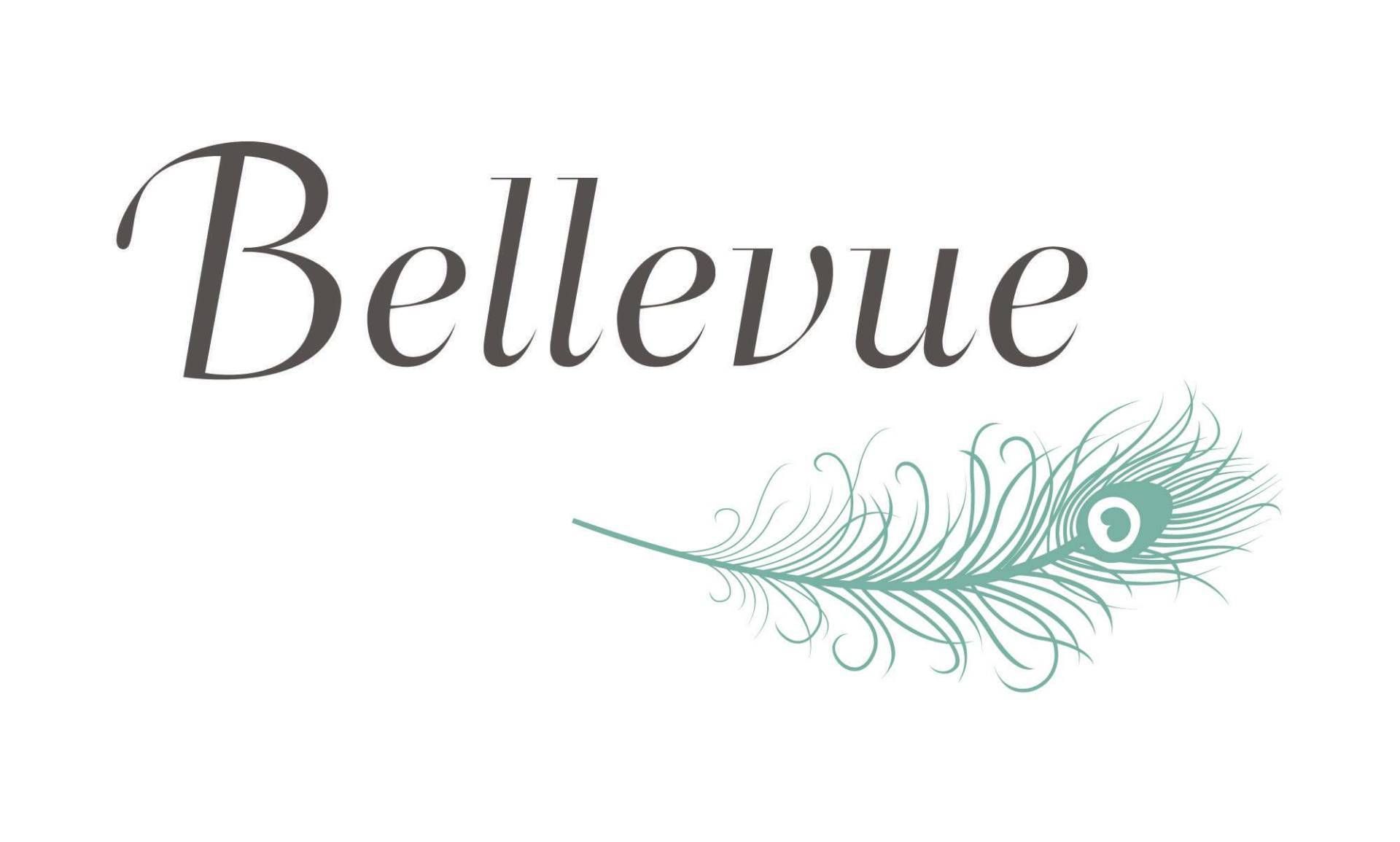 Partner Logo 1
