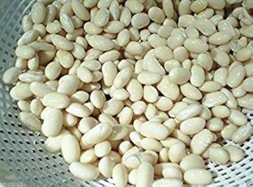 https://storage.tally.so/30b70c09-bce5-4fbd-8b65-64e62dc5936f/NavyBeans.jpg
