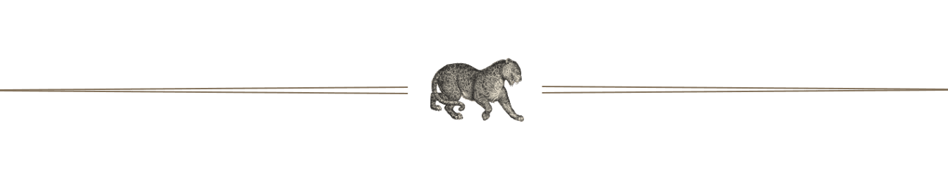 https://storage.tally.so/3290edad-45e7-4cb1-9b2c-9cd24ac1fc57/LUX-DIVIDER-for-Substack-min.png