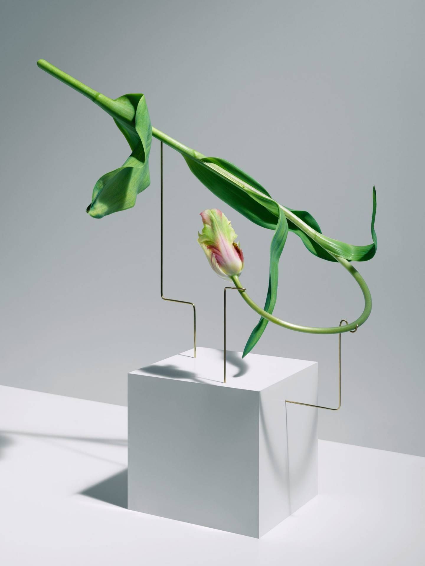 Form cover