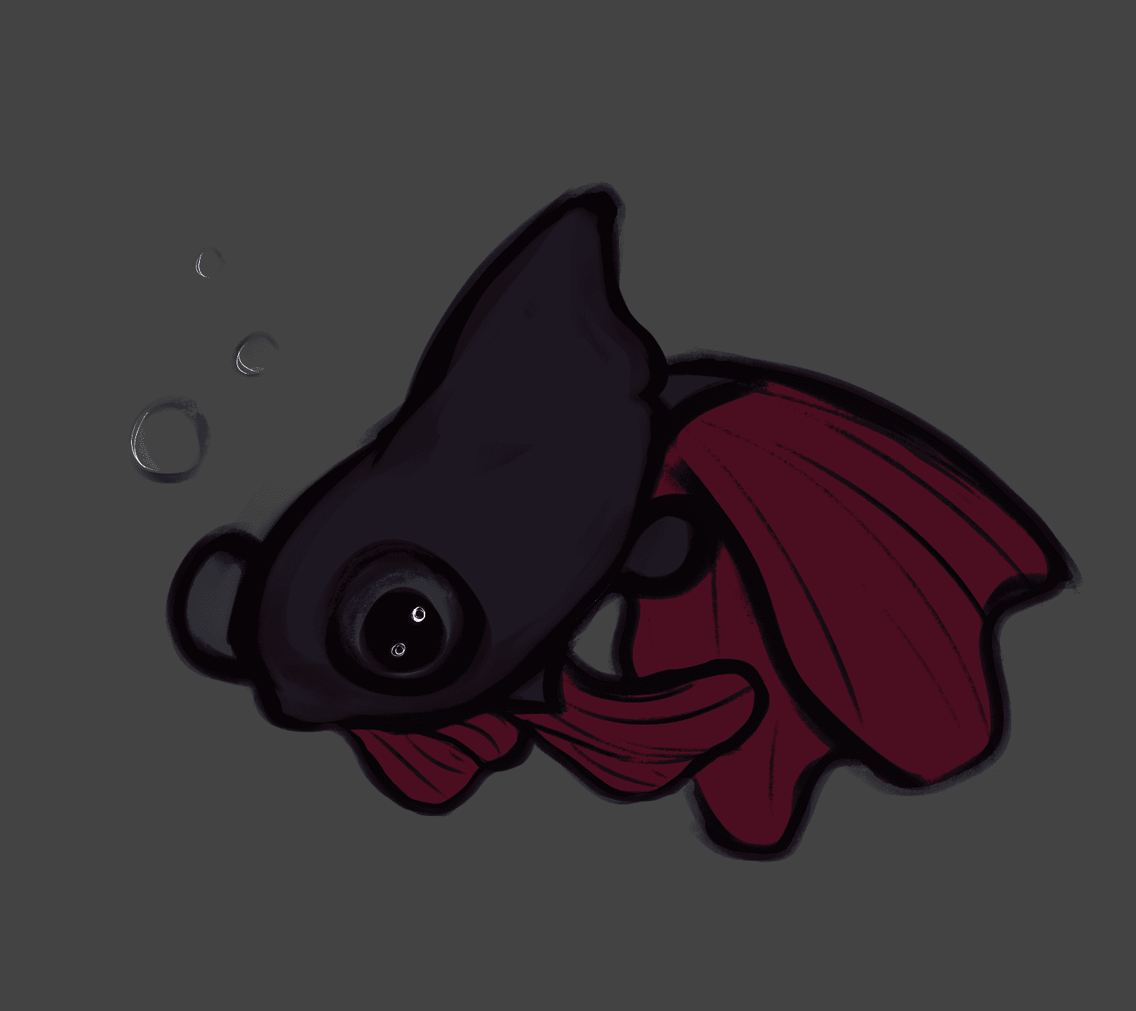 A black and red pop-eyed goldfish