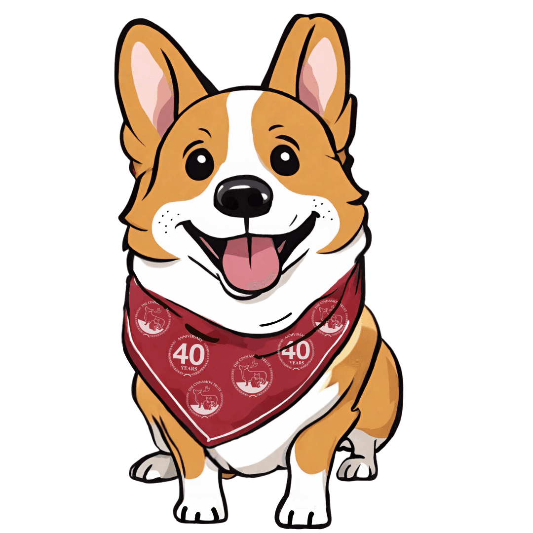 https://storage.tally.so/38595410-5902-4b19-aef8-014beae1d154/2025-Corgi.png