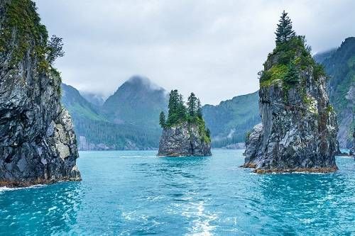 https://storage.tally.so/3ff6dc3d-faa3-4681-8c8c-e4fcfa5458b4/KenaiFjords.jpg