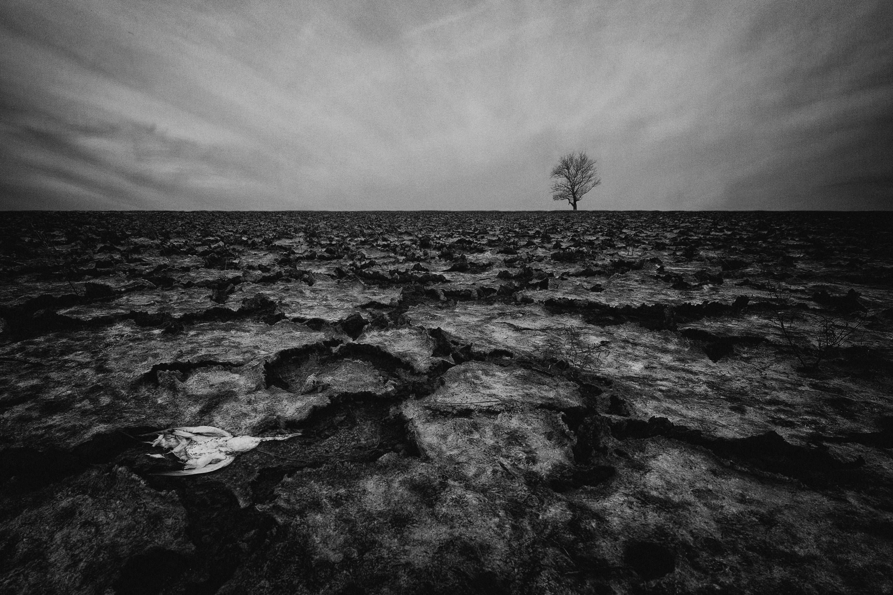 https://storage.tally.so/42536ca3-18ca-4706-b5d3-f622eccd7d1a/Matej-Peljhan-Slovenia---Drought.jpg