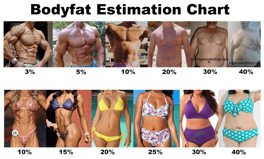 https://storage.tally.so/4279fc9c-b135-42a6-980e-075f1763ae1a/Body-fat-estimation-chart.png