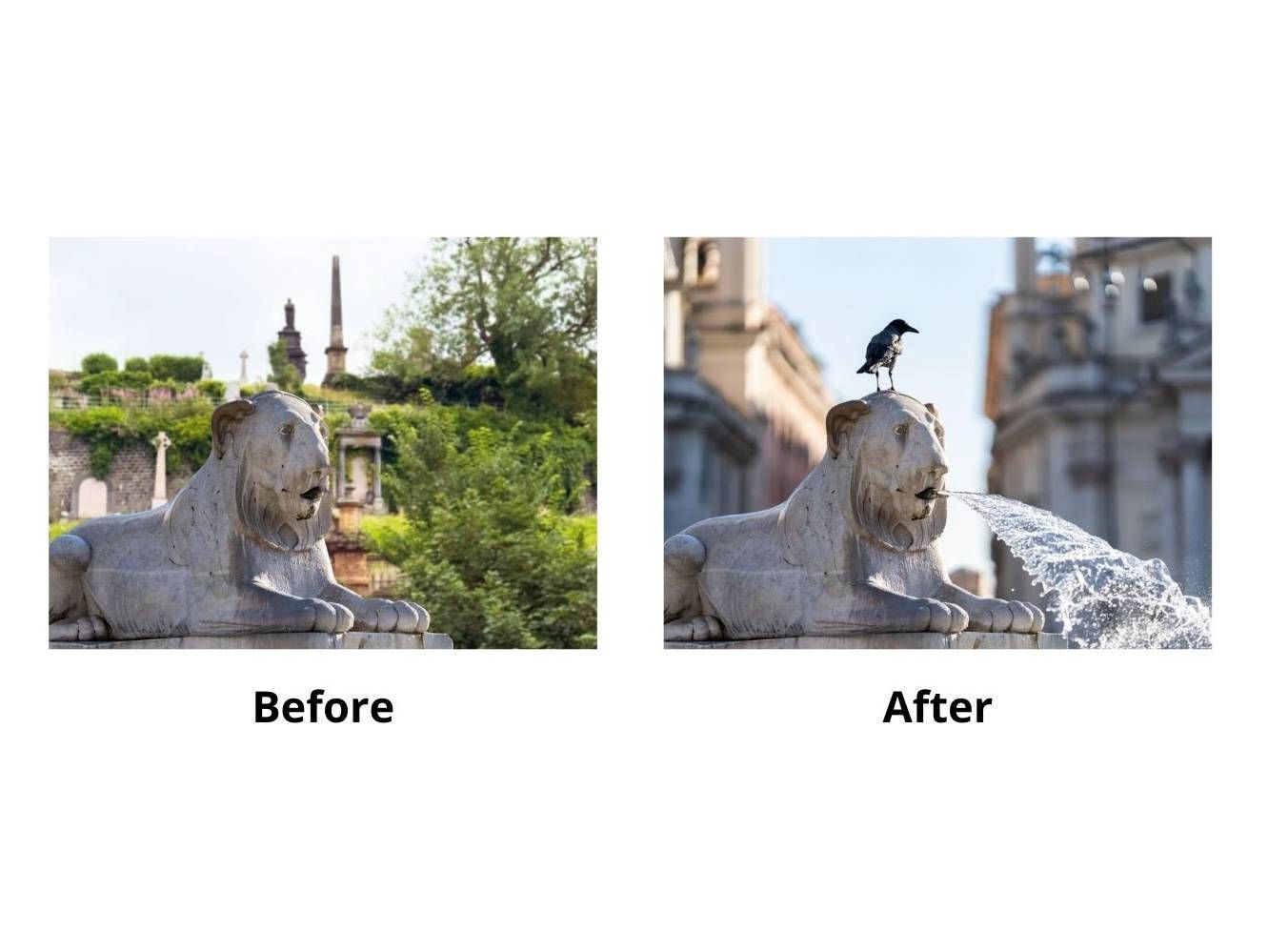 https://storage.tally.so/45517823-d72b-4204-9cc7-c450cd00a8f0/Before.jpg