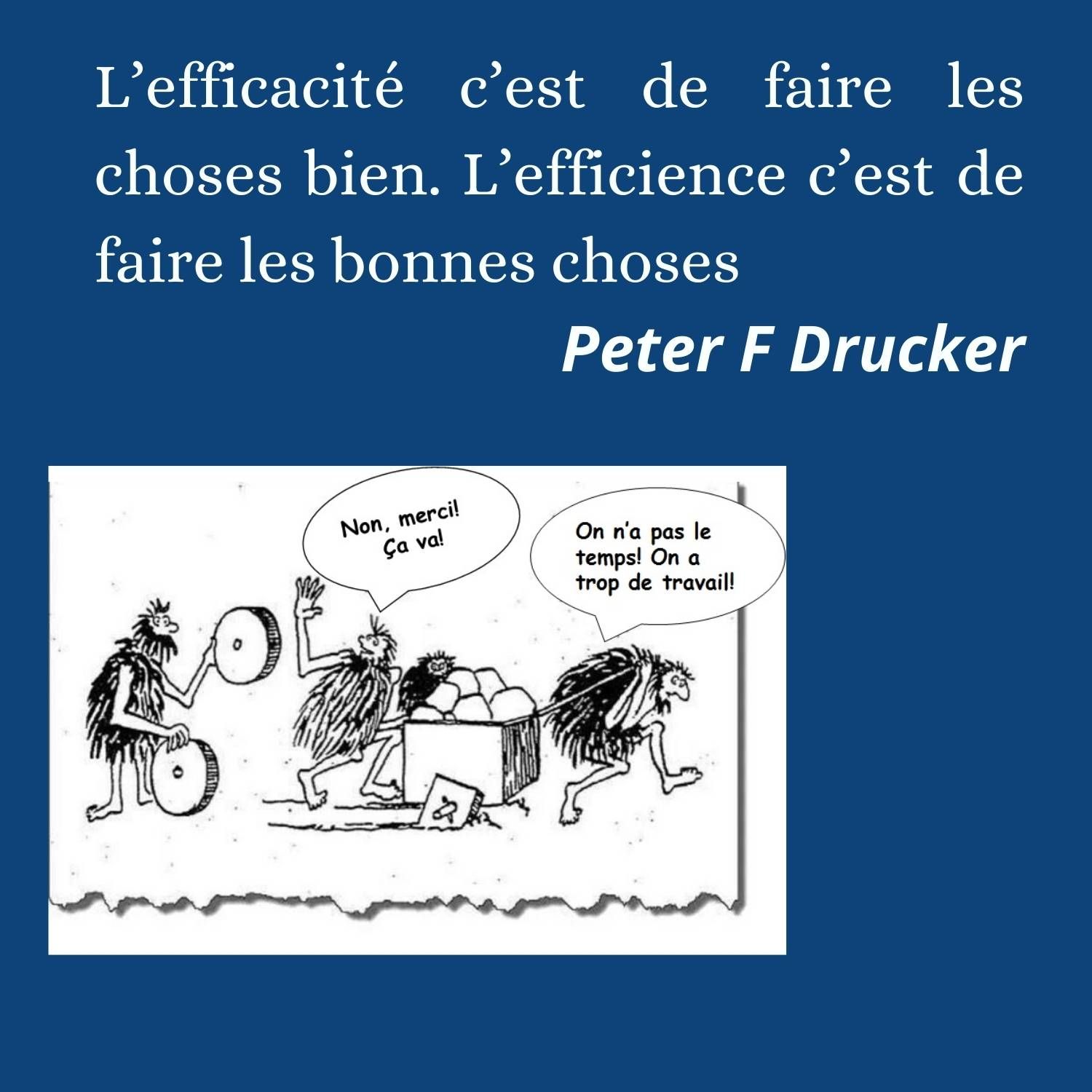 https://storage.tally.so/493e390b-44b9-4f72-aa33-febe7aa13cd1/Fiches-illustration-questionnaire-13-.jpg