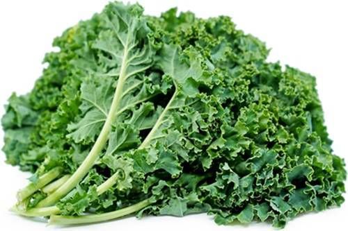 https://storage.tally.so/496113a7-6bf1-4fa0-9907-af8b501e63f5/Kale.jpg