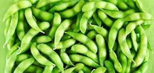 https://storage.tally.so/506e6aa5-dad7-4e76-bc6d-0b4c8cf35e3b/Edamame.jpg