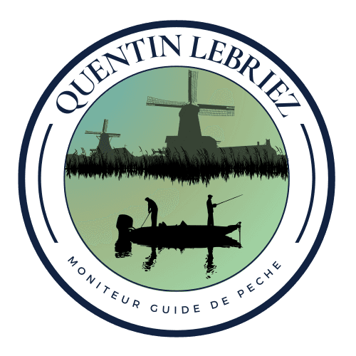 Form logo