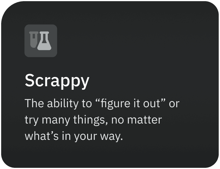 https://storage.tally.so/5234c03b-00c4-4100-a036-72bce5507d65/Scrappy.png