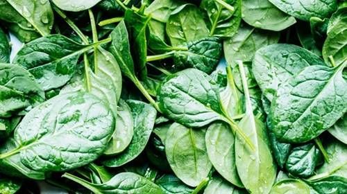 https://storage.tally.so/541500c9-5e8e-498e-a614-1ab6cdfb70ec/Spinach.jpg