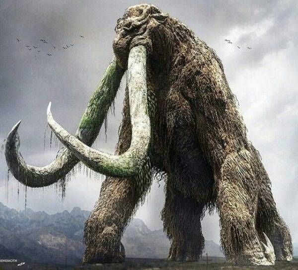 https://storage.tally.so/578991c3-42ff-45b6-b18e-55852e05bbb0/Behemoth.jpg