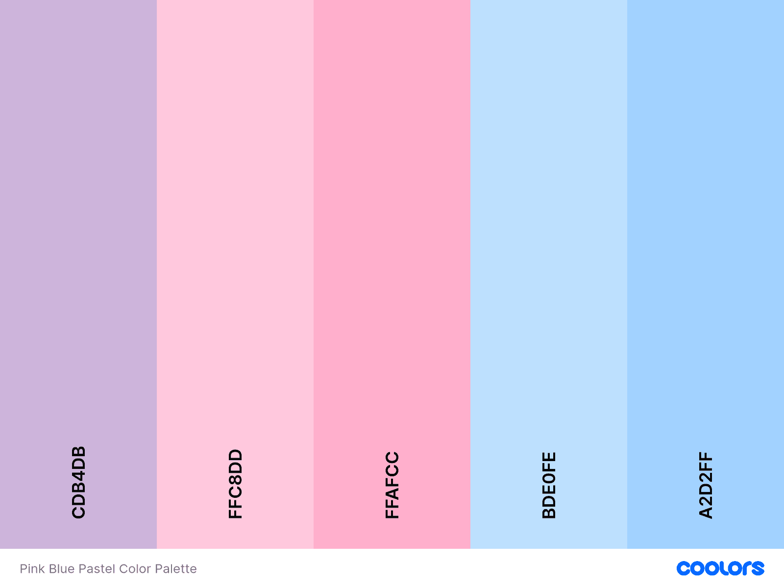 https://storage.tally.so/57d2a323-5593-4872-9c12-d25bb68ae055/Palette-3.png