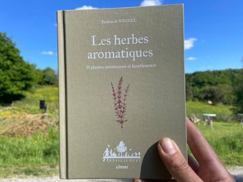 https://storage.tally.so/5a758a6a-9ab2-4906-8c5d-987ac47023d5/les-herbes-aromatiques---pauline-de-voghel.jpeg