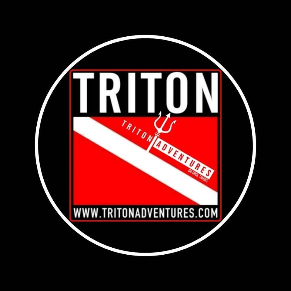 Form logo