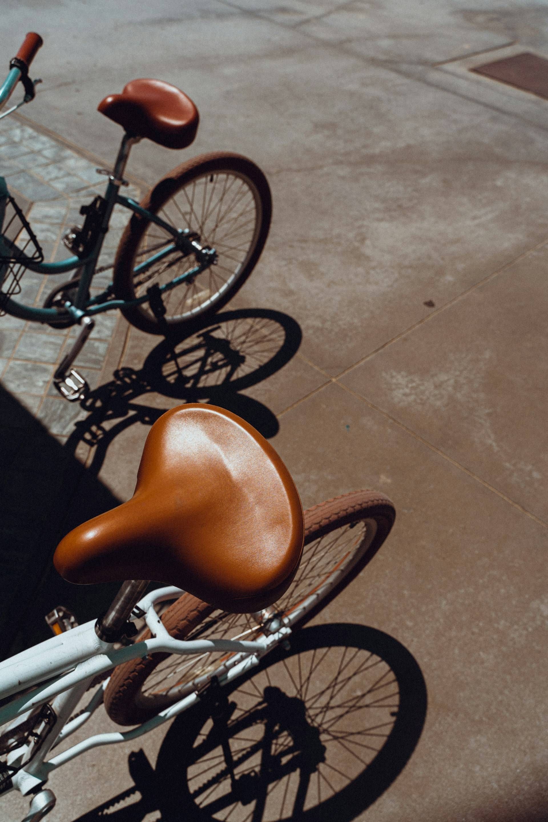 https://storage.tally.so/5da970c7-4158-4c79-8210-befa1a1b2dea/mark-patterson-6MxF0qtA-Cs-unsplash.jpg