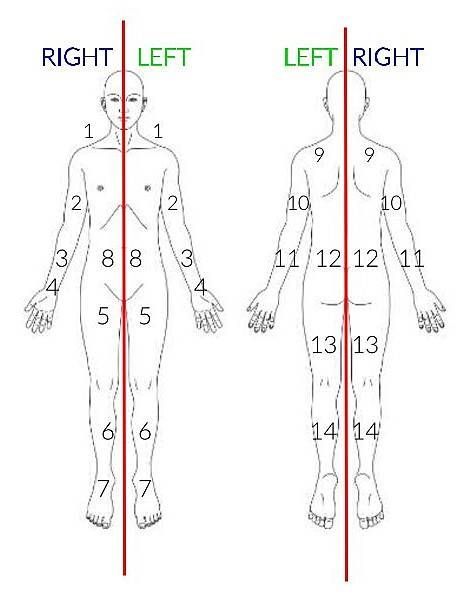 https://storage.tally.so/5e5ede46-d199-42ff-b80a-3c5d8d0e7d1a/00.jpg