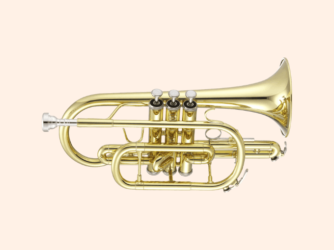 https://storage.tally.so/5eb89729-2b15-4016-8699-bafdd1854295/vignette-cornet.png