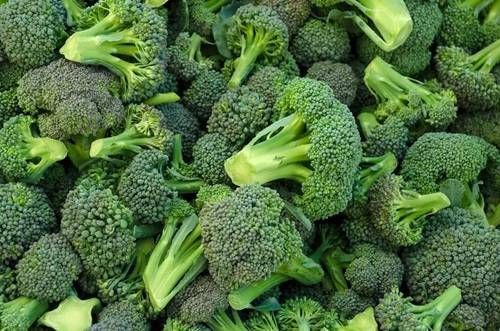 https://storage.tally.so/62fcefb9-c0be-4ff4-89bf-f9a841edac1e/Broccoli.jpg