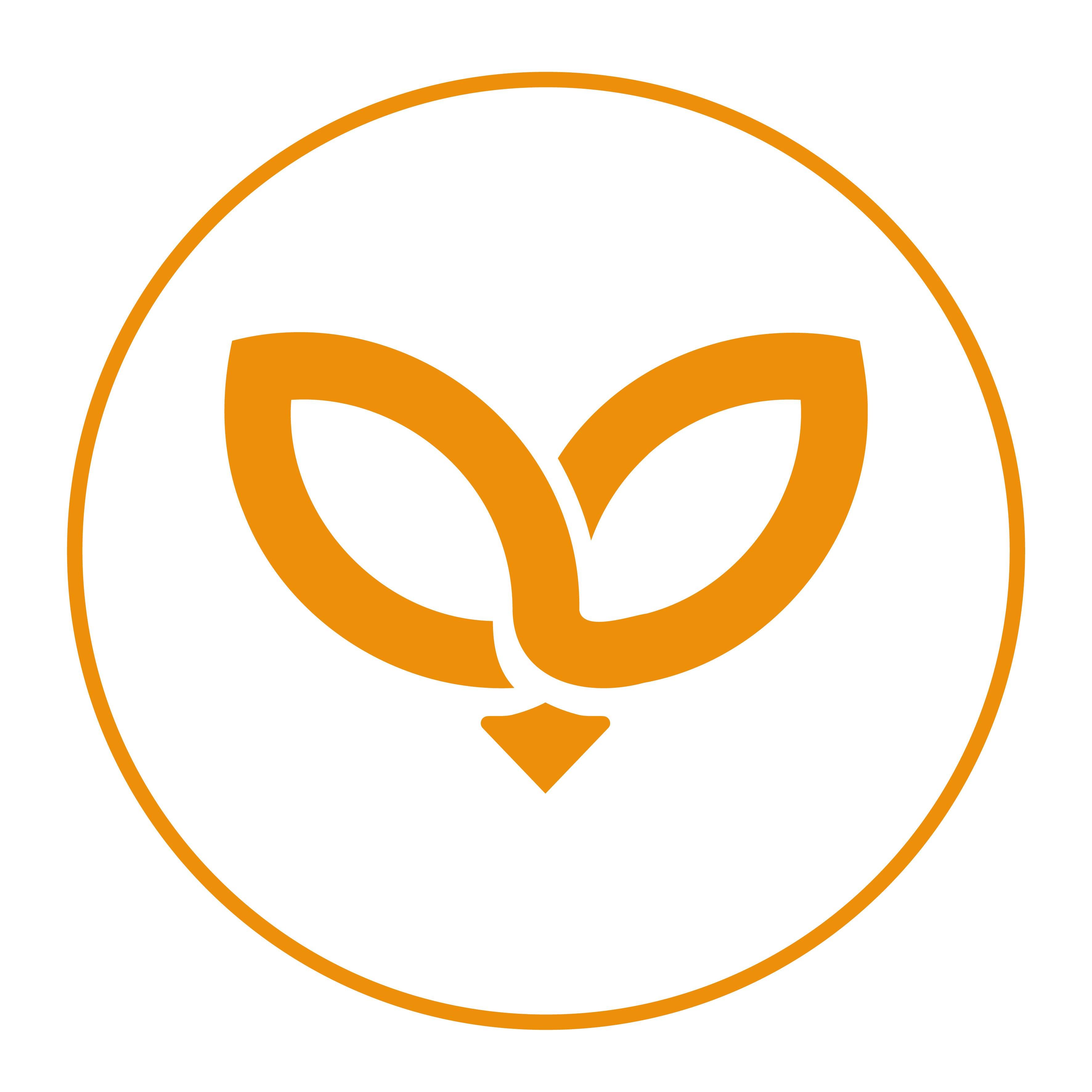 Form logo