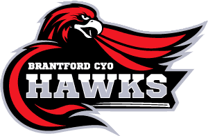 Form logo