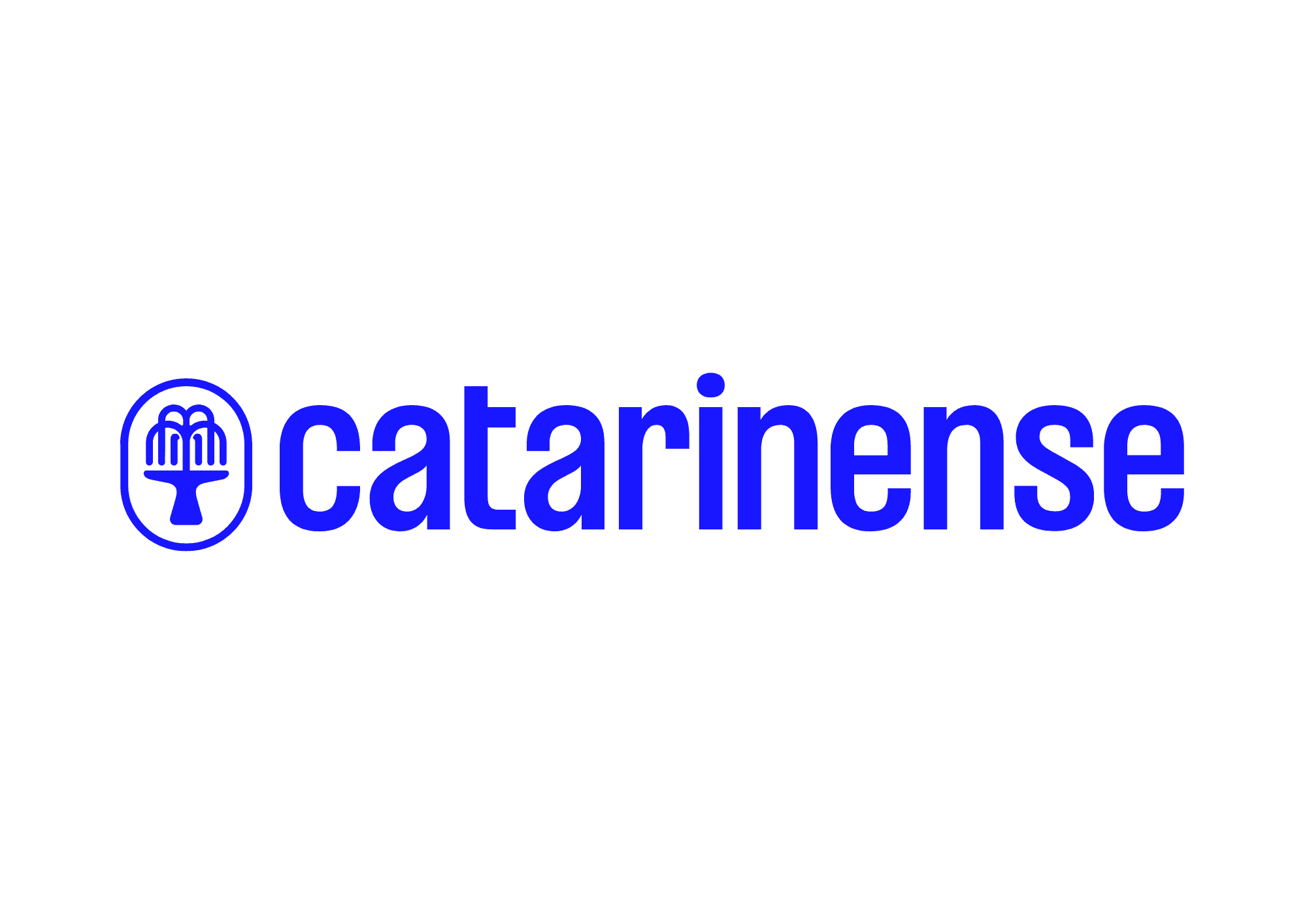 https://storage.tally.so/69497e6b-1910-40df-8a01-12082a37690b/Logos-Catarinense_Negativa_RGB.pdf_20250601_133332_0000.png