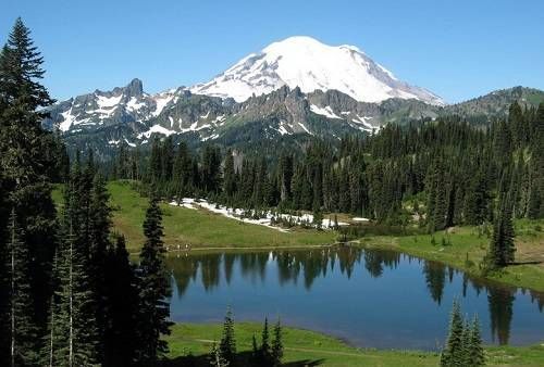 https://storage.tally.so/6b81d189-de69-498f-9f43-55f5f6a62881/MtRainier.jpg