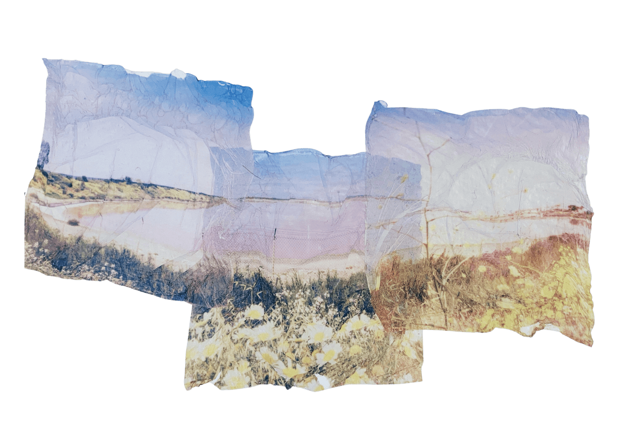 https://storage.tally.so/6c37424d-fd76-4708-b2ff-e8b148b95d62/salt_flats_emulsion_lift_by_venusister.png