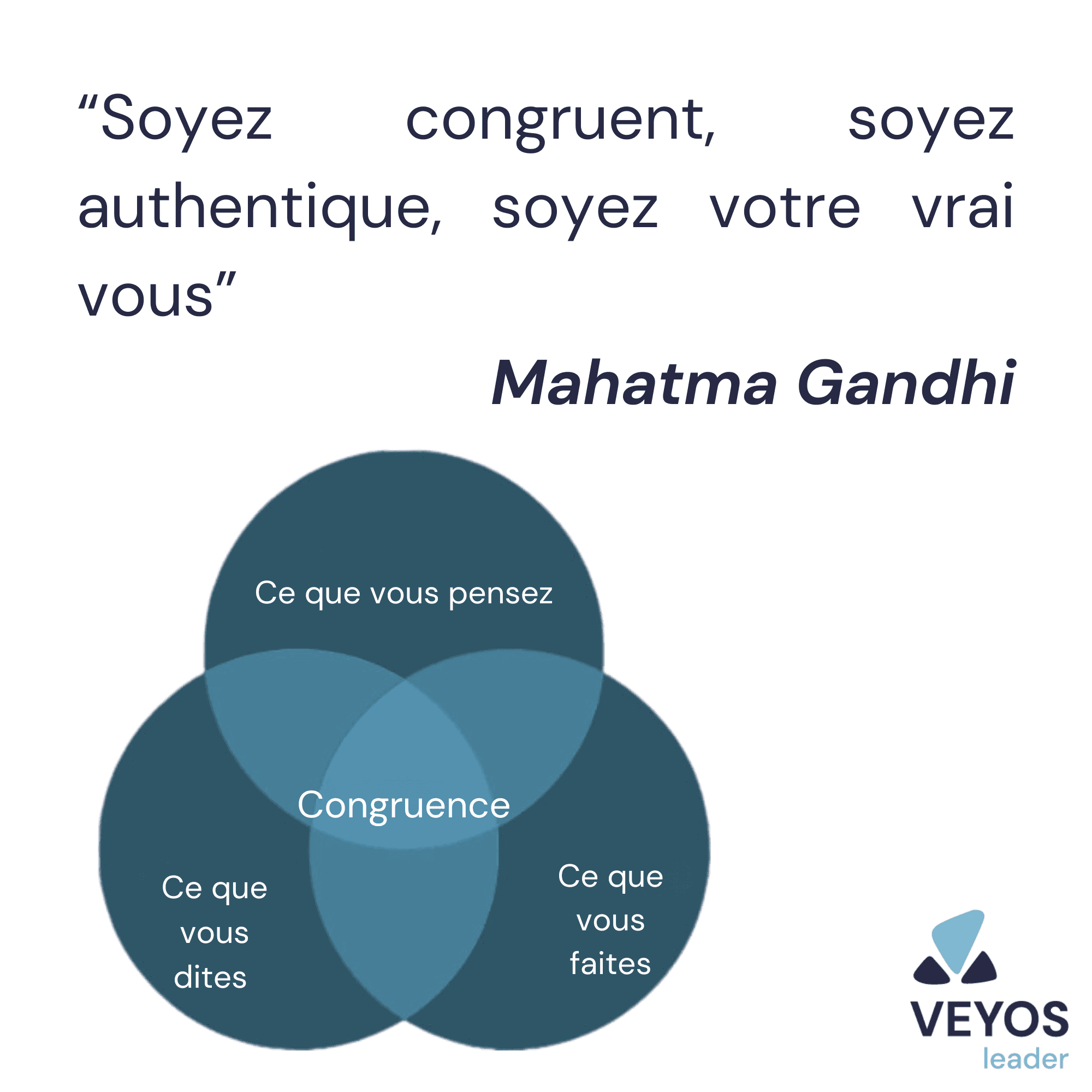 https://storage.tally.so/6ca37f07-e00a-4388-8d8e-6e6b9e6f4597/coluche.png