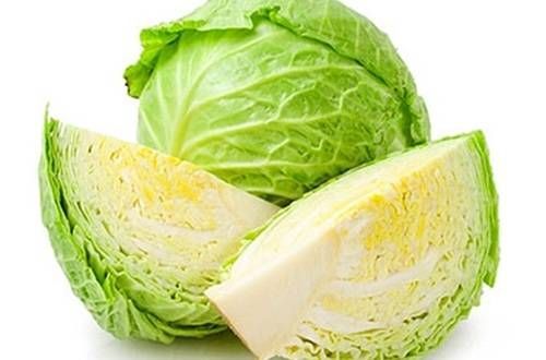 https://storage.tally.so/747192b6-51a6-4d81-8e6b-debecaa7ea65/GreenCabbage.jpg