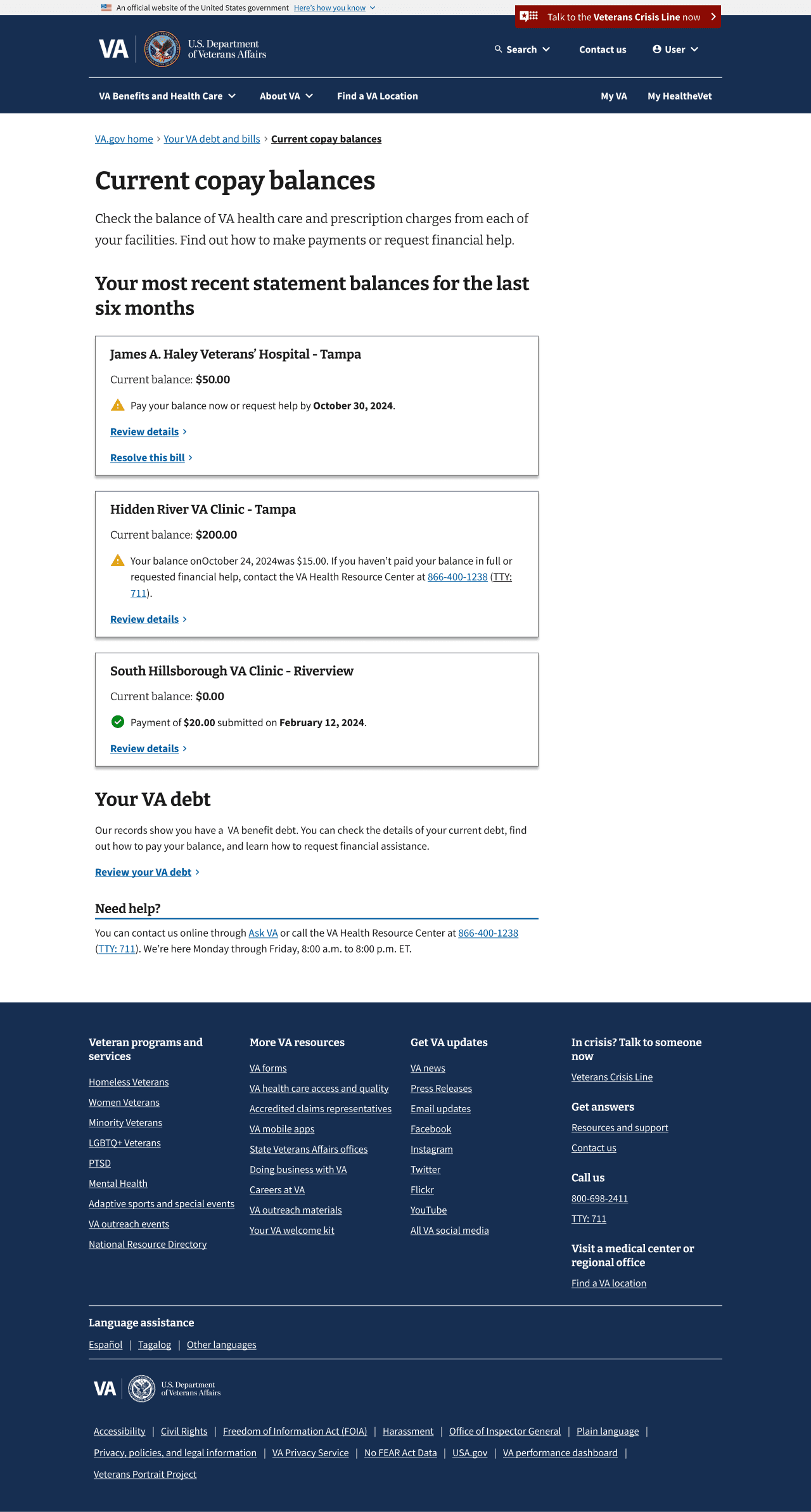 Screenshot of debt portal copay summary page