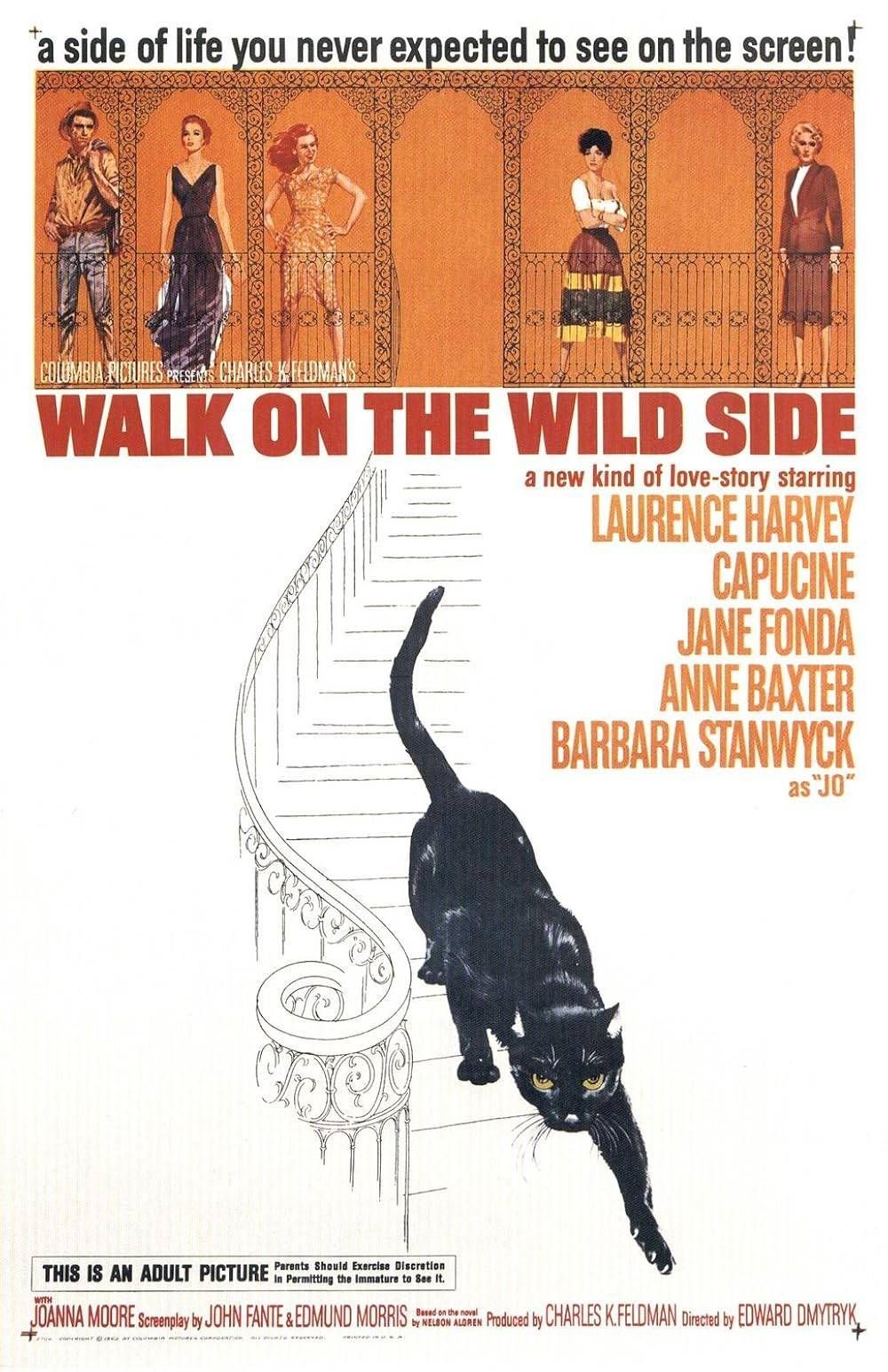 https://storage.tally.so/78a3dfb6-b5d6-4a5b-ab10-2c84d5eb83eb/WalkOnTheWildSide.jpg