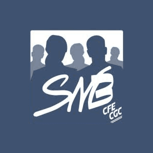Form logo