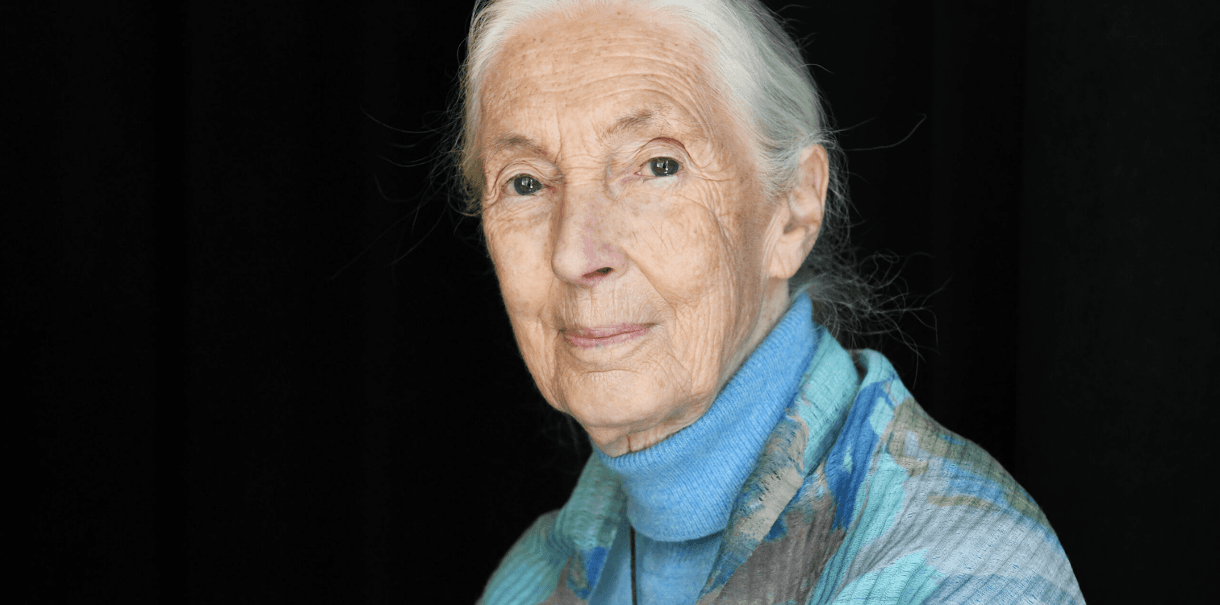 https://storage.tally.so/79cee522-a440-4f65-b828-442949567fb9/Jane-Goodall.png