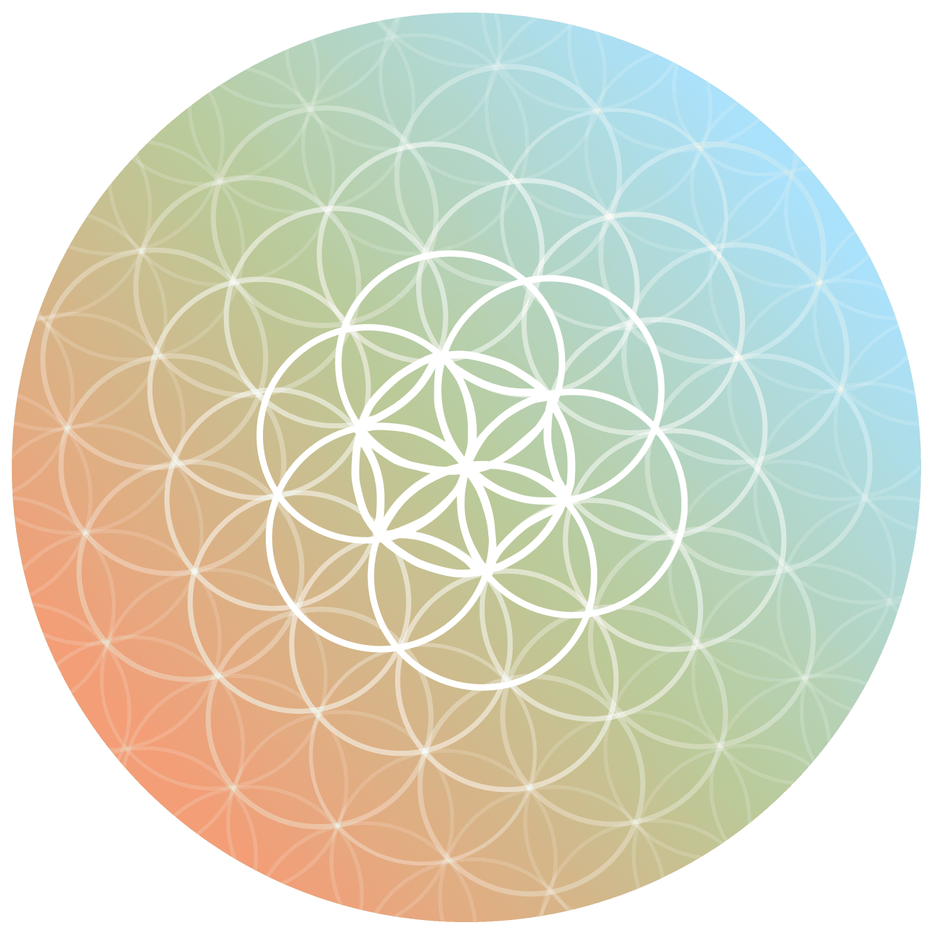 Form logo