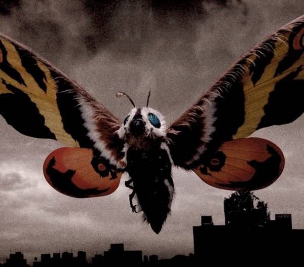 https://storage.tally.so/7c949f1a-915a-4561-91f6-144f520caa85/Mothra.jpg